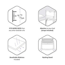 Load image into Gallery viewer, SnuzPod 4 Baby Bedside Crib – Dove – Safety Tested, Dual View Mesh Windows & Fits Most Beds